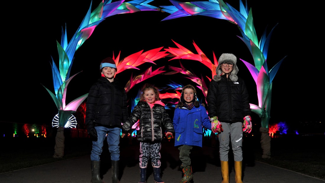 a family enjoying the illuminated arch on the light trail.