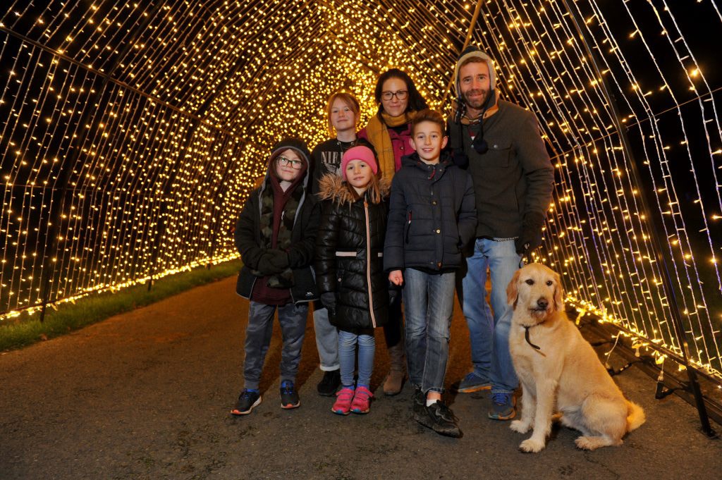 Dog-Friendly Light Trail Sessions at Winter Glow